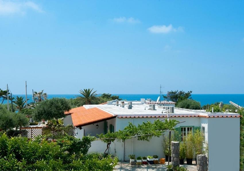 Residence Le Vigne Forio di Ischia Eksteriør bilde
